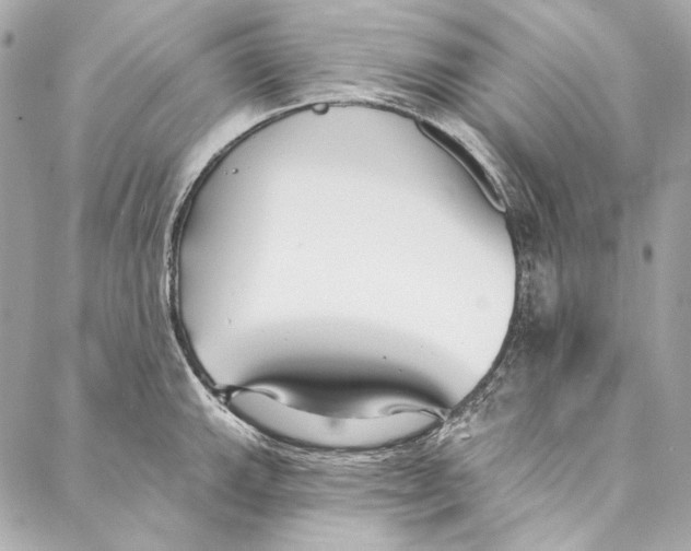 X0000086951143200705071436