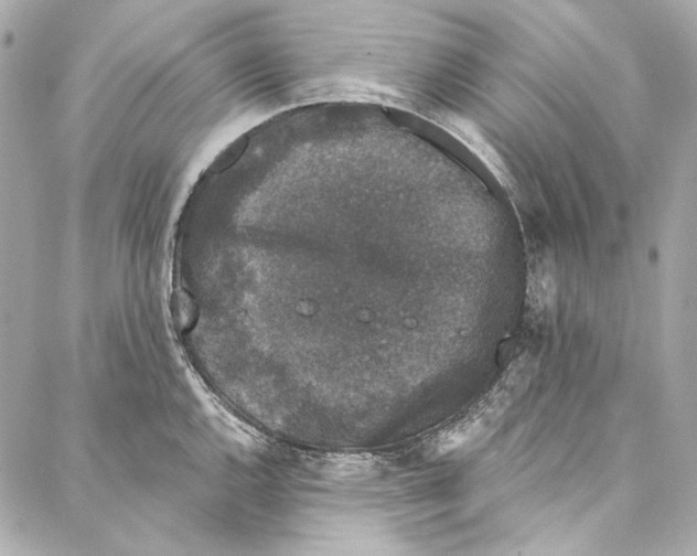 X0000086951144200705071436