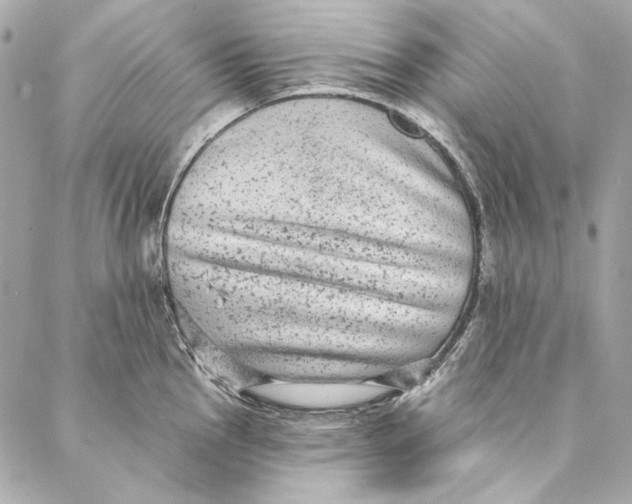 X0000086951145200705071437