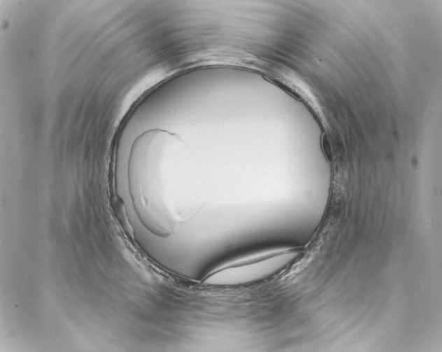 X0000086951146200705071437