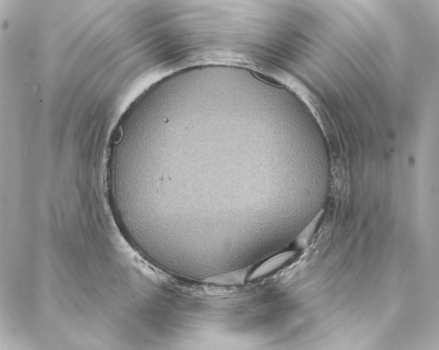 X0000086951147200705071437