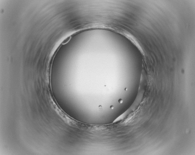 X0000086951148200705071437