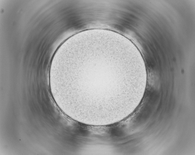 X0000086951150200705071437