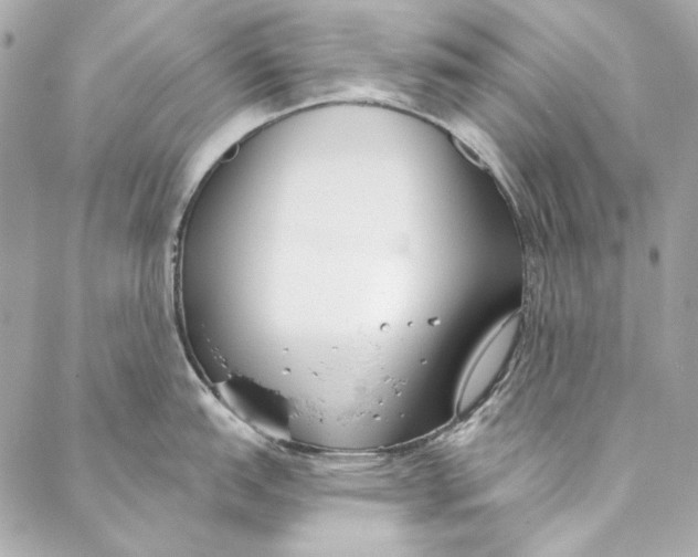 X0000086951151200705071437