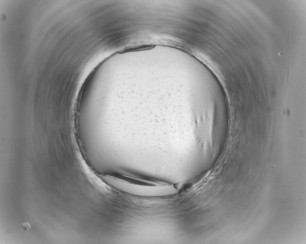 X0000086951152200705071437