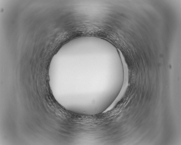 X0000086951153200705071436