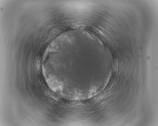 X0000086951154200705071436