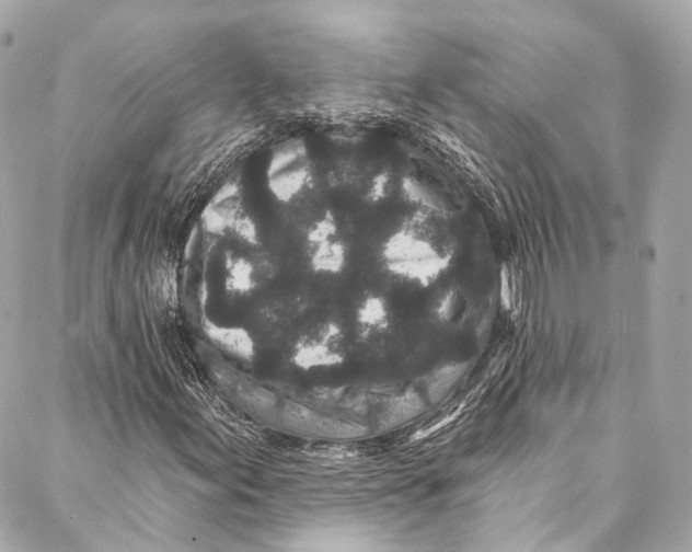 X0000086951155200705071436