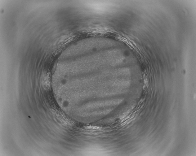 X0000086951156200705071436