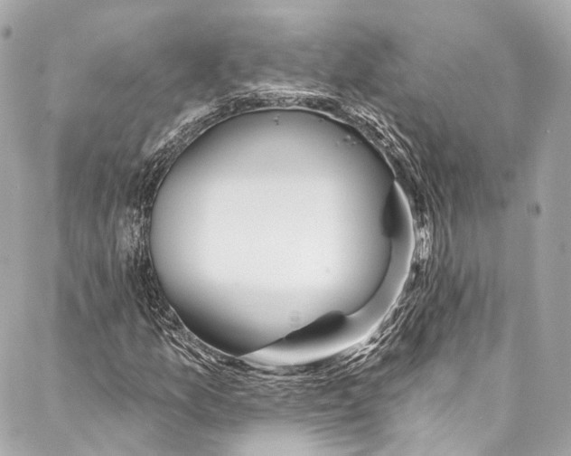 X0000086951157200705071436