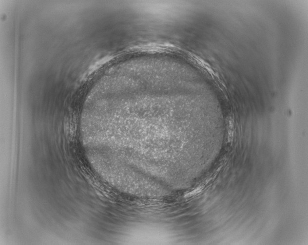 X0000086951158200705071436