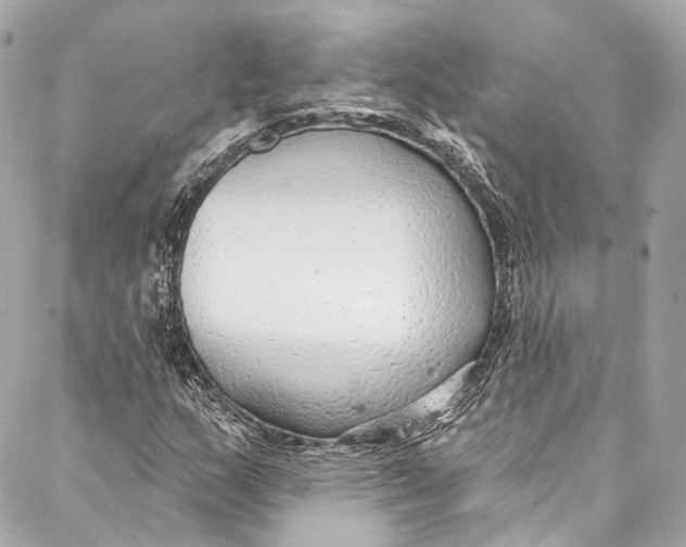 X0000086951159200705071436