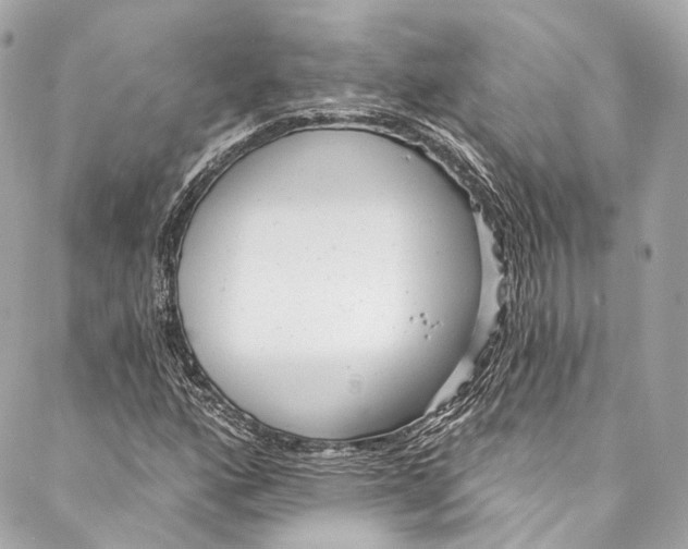 X0000086951160200705071436