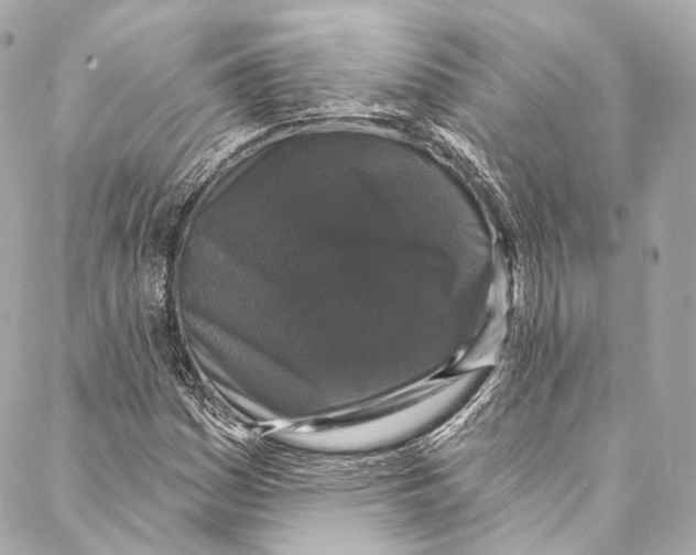 X0000086951161200705071436