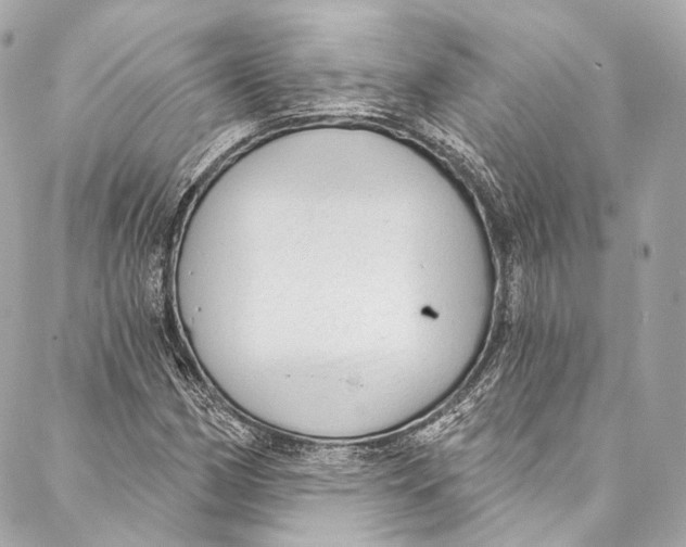 X0000086951162200705071436