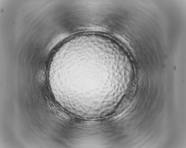 X0000086951163200705071436