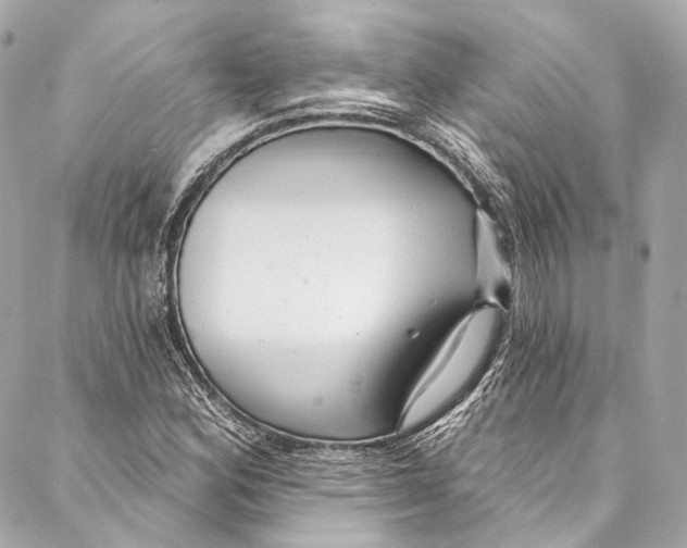 X0000086951164200705071436