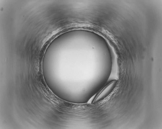 X0000086951165200705071436