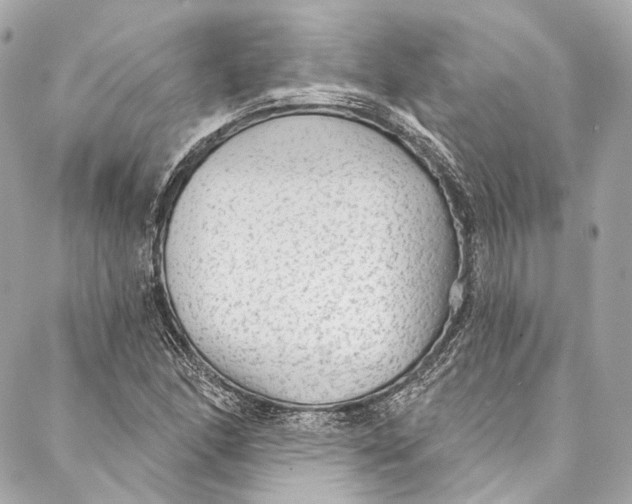 X0000086951166200705071436