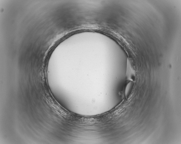 X0000086951168200705071436