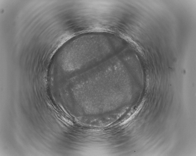 X0000086951170200705071436