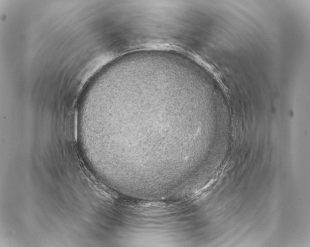 X0000086951171200705071436