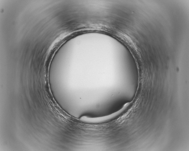 X0000086951172200705071436