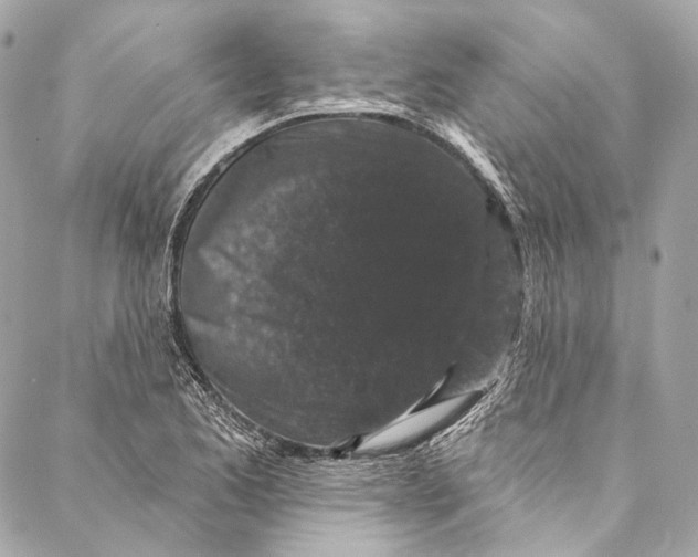 X0000086951173200705071436