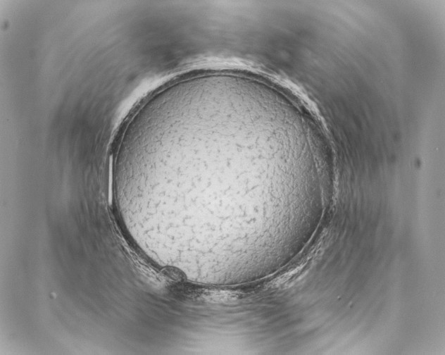 X0000086951175200705071435