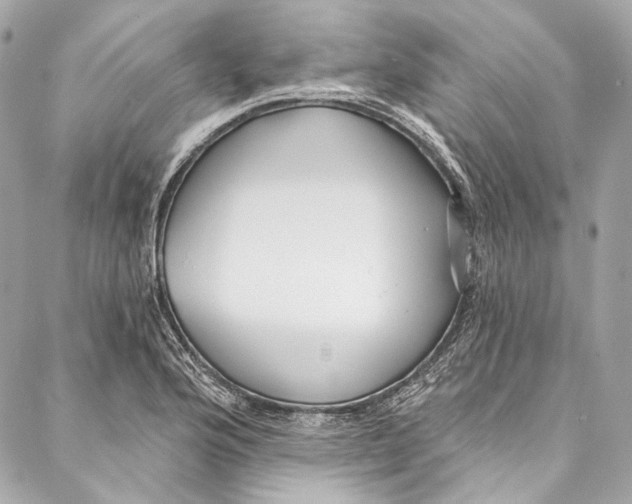 X0000086951176200705071435