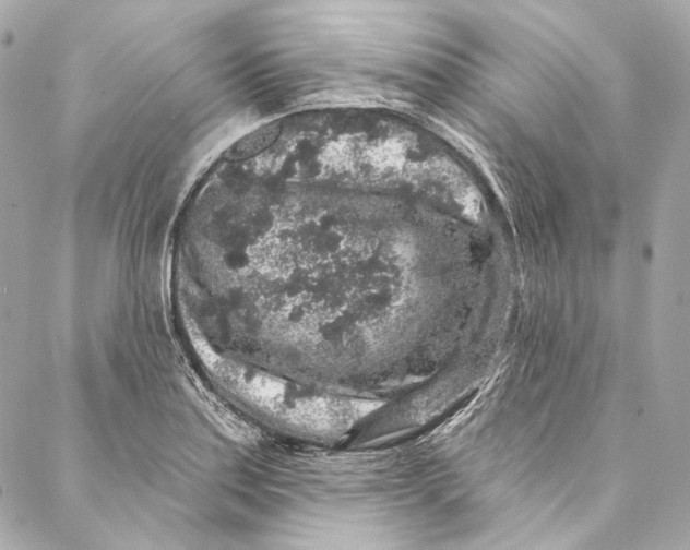 X0000086951179200705071435