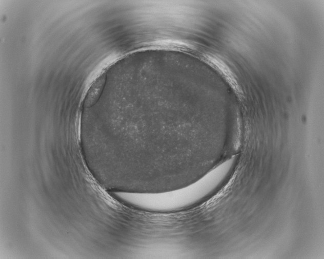 X0000086951180200705071435