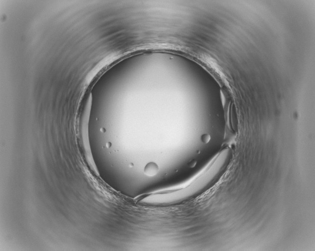 X0000086951181200705071435