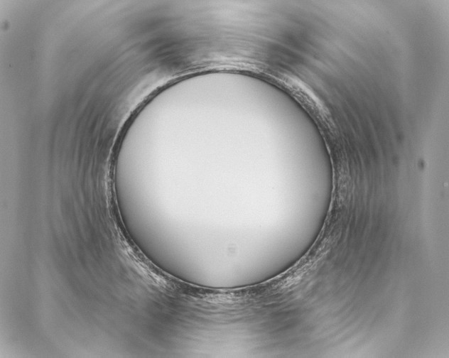 X0000086951182200705071435