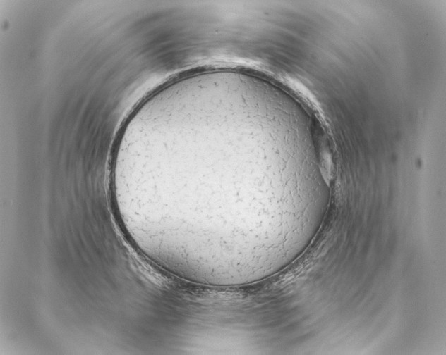 X0000086951183200705071435