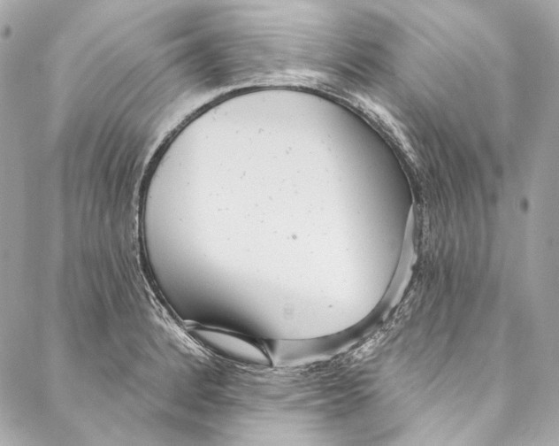 X0000086951184200705071435