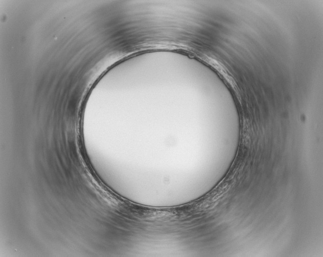 X0000086951187200705071435