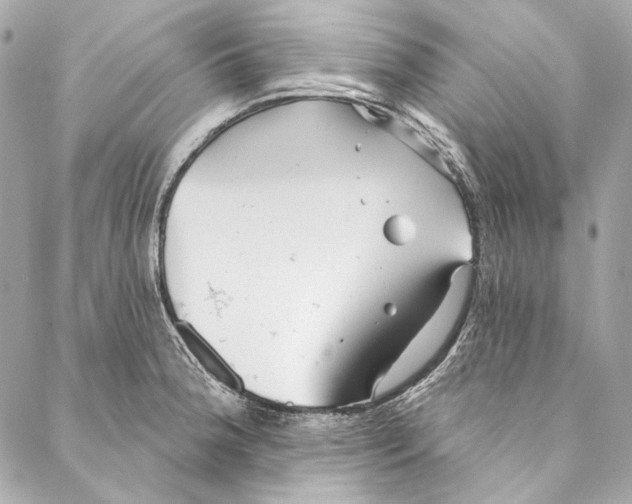 X0000086951188200705071435