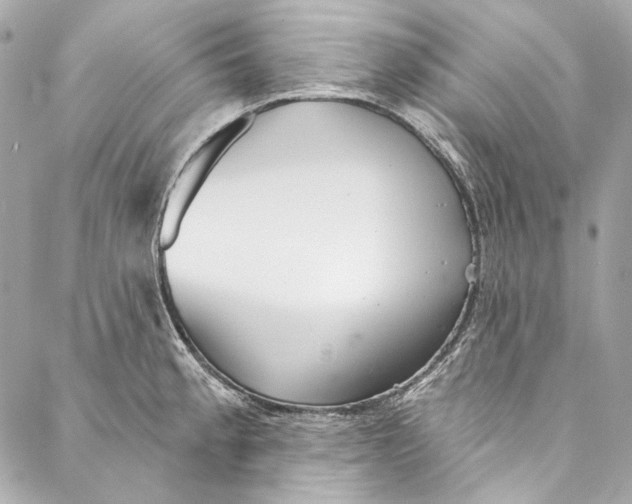 X0000086951189200705071435