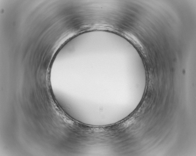 X0000086951190200705071435