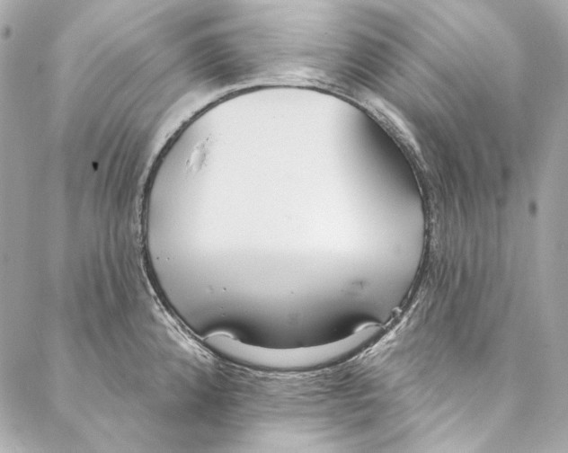 X0000086951192200705071435