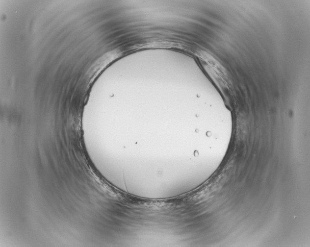 X0000086951193200705071435