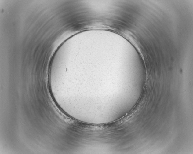 X0000086951195200705071435