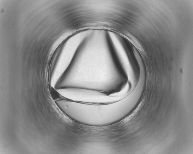 X0000086951196200705071435