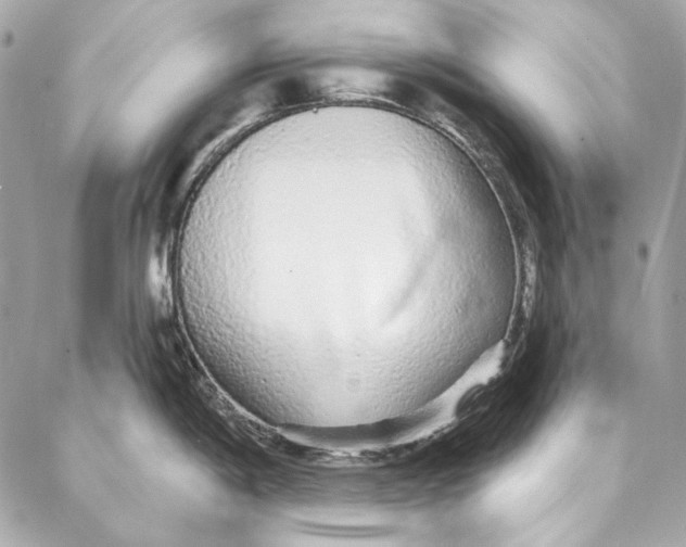 X0000086951198200705071435