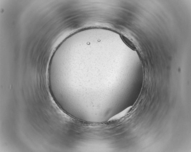 X0000086951199200705071435