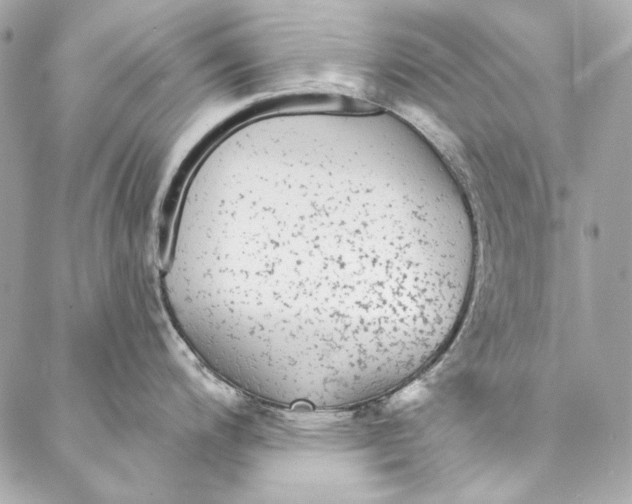 X0000086951200200705071435