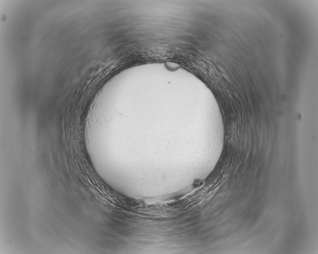 X0000086951201200705071434