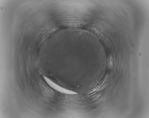 X0000086951202200705071434