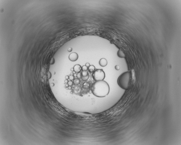 X0000086951203200705071434